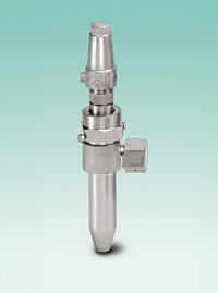 Drain valve with extended inlet